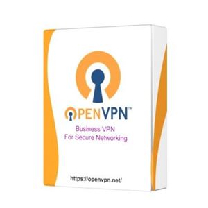 OpenVPN